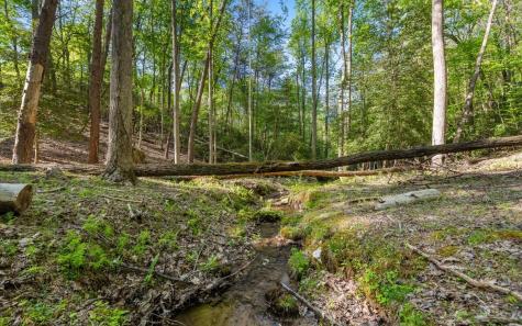 250 Crow Top Mountain Blue Ridge GA 30513
