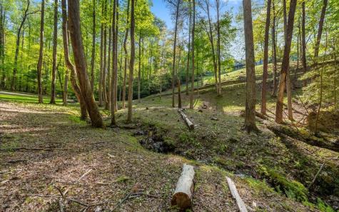 250 Crow Top Mountain Blue Ridge GA 30513