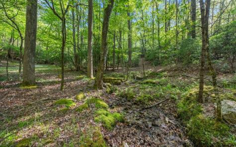 250 Crow Top Mountain Blue Ridge GA 30513