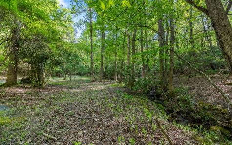 250 Crow Top Mountain Blue Ridge GA 30513