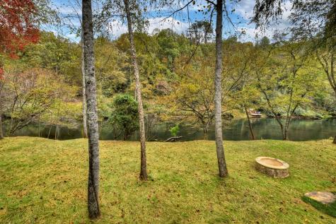 577 Blackberry Drive Mineral Bluff GA 30559