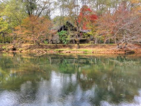 577 Blackberry Drive Mineral Bluff GA 30559