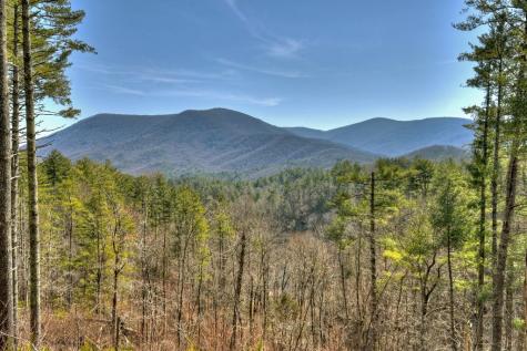 969 Hidden Lake Drive Cherry Log GA 30522