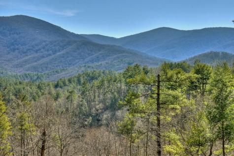 969 Hidden Lake Drive Cherry Log GA 30522