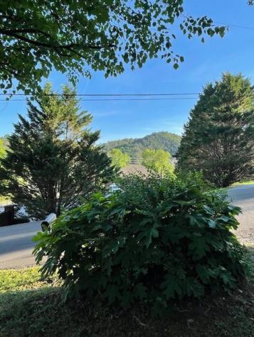 118 E Oak Street Ellijay GA 30540