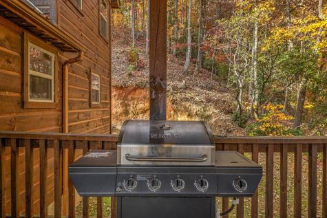 300 Cloudland Trace Epworth GA 30541