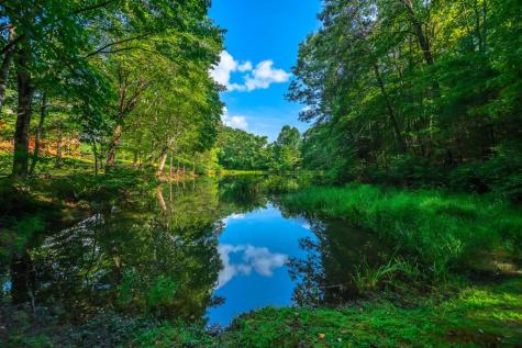 300 Cloudland Trace Epworth GA 30541