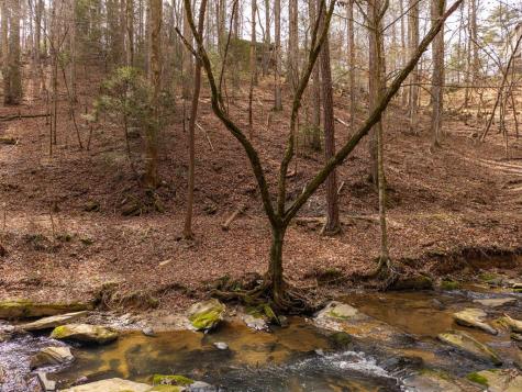 130 Clark Drive Ellijay GA 30540