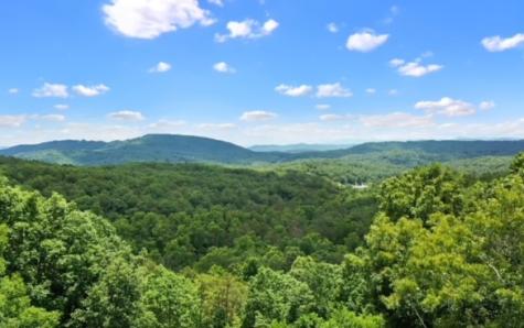 60 Lucky Leaf Lane Murphy NC 28906