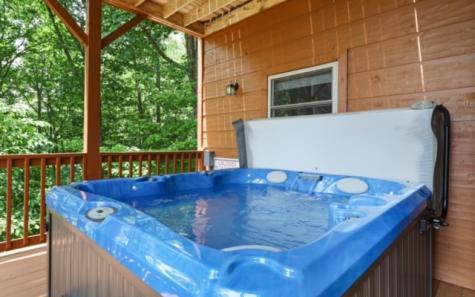 60 Lucky Leaf Lane Murphy NC 28906