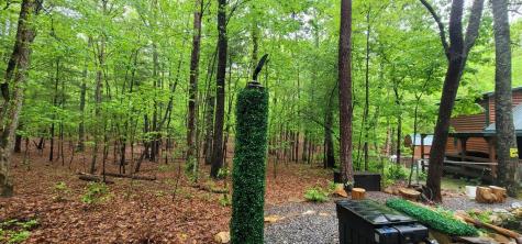 84 Victory Ridge Road Morganton GA 30560