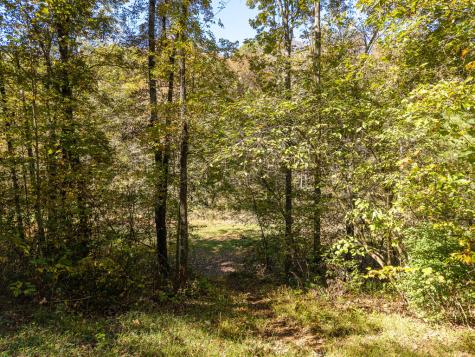 431 Sunrise Valley Road Blue Ridge GA 30513