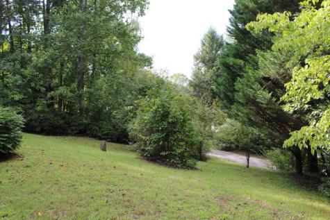 310 Licklog Court Hayesville NC 28904