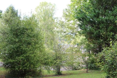 310 Licklog Court Hayesville NC 28904