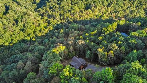 172 Wolf Creek Circle Mineral Bluff GA 30559