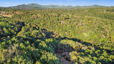 172 Wolf Creek Circle Mineral Bluff GA 30559