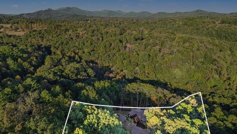 172 Wolf Creek Circle Mineral Bluff GA 30559