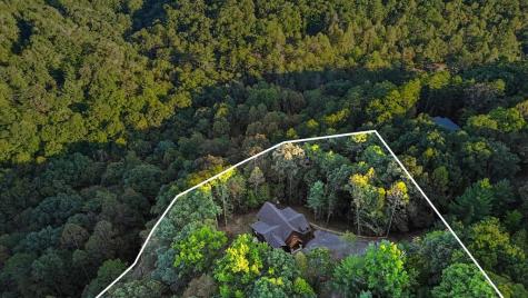 172 Wolf Creek Circle Mineral Bluff GA 30559