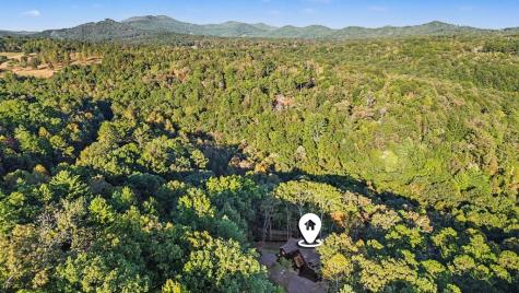 172 Wolf Creek Circle Mineral Bluff GA 30559