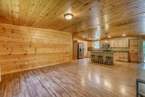 131 Pine Lane Mineral Bluff GA 30559