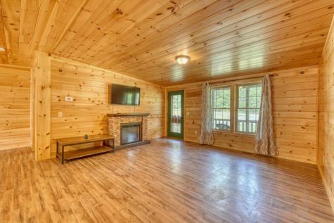131 Pine Lane Mineral Bluff GA 30559