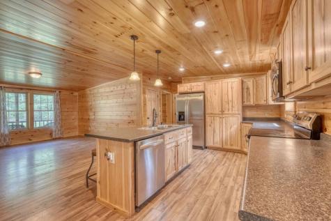 131 Pine Lane Mineral Bluff GA 30559