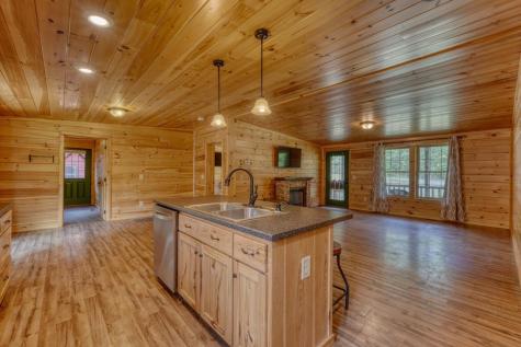 131 Pine Lane Mineral Bluff GA 30559