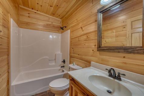 131 Pine Lane Mineral Bluff GA 30559