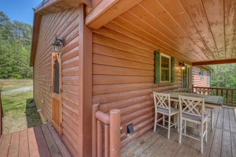131 Pine Lane Mineral Bluff GA 30559