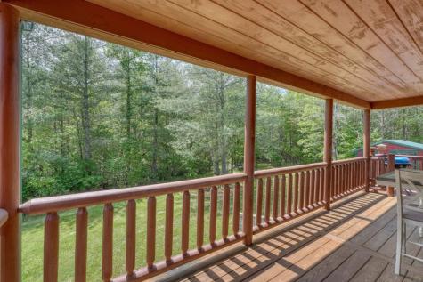131 Pine Lane Mineral Bluff GA 30559