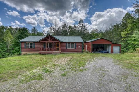 131 Pine Lane Mineral Bluff GA 30559