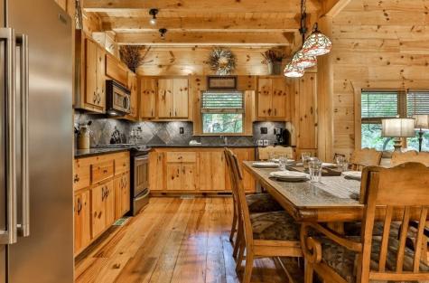 92 Fish Trap Road Mineral Bluff GA 30559