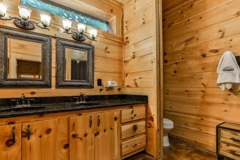 92 Fish Trap Road Mineral Bluff GA 30559