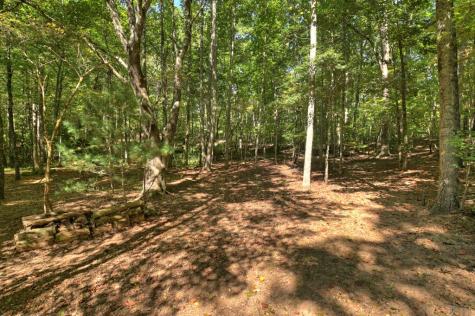 191 Barker Lane Morganton GA 30560