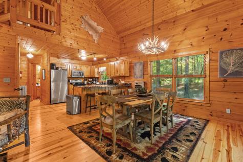 63 Bushy Head Road Cherry Log GA 30522