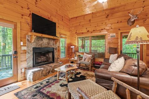63 Bushy Head Road Cherry Log GA 30522