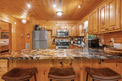 63 Bushy Head Road Cherry Log GA 30522