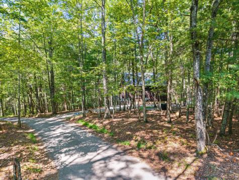 63 Bushy Head Road Cherry Log GA 30522