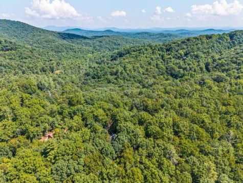 63 Bushy Head Road Cherry Log GA 30522
