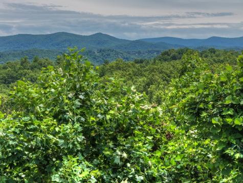 1207 Bullen Gap Road Blue Ridge GA 30513