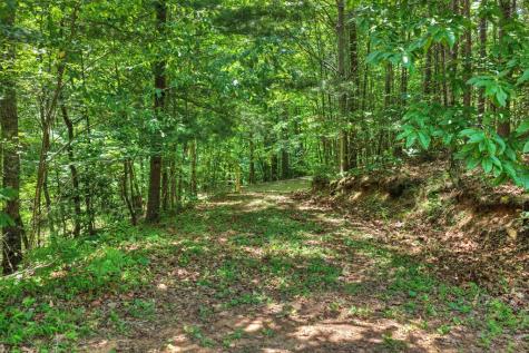 1207 Bullen Gap Road Blue Ridge GA 30513