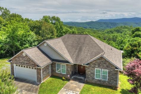 1207 Bullen Gap Road Blue Ridge GA 30513