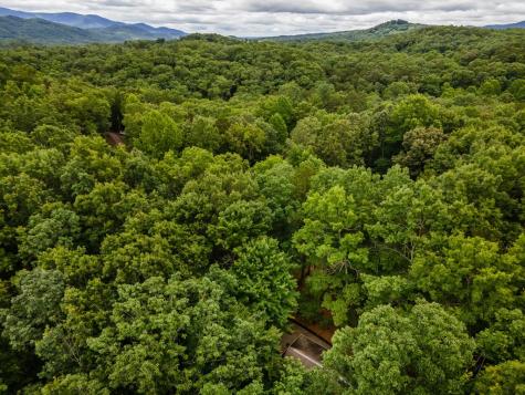398 Mountain Tops Circle Blue Ridge GA 30513