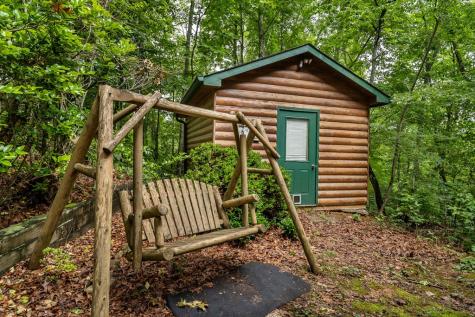 398 Mountain Tops Circle Blue Ridge GA 30513