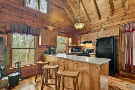 4081 Whitepath Road Cherry Log GA 30522