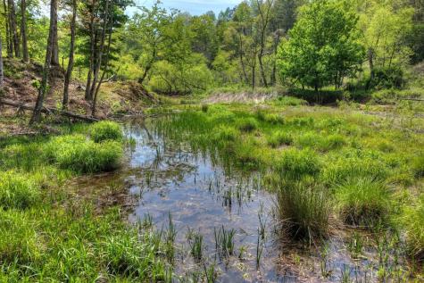 4081 Whitepath Road Cherry Log GA 30522