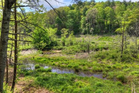 4081 Whitepath Road Cherry Log GA 30522