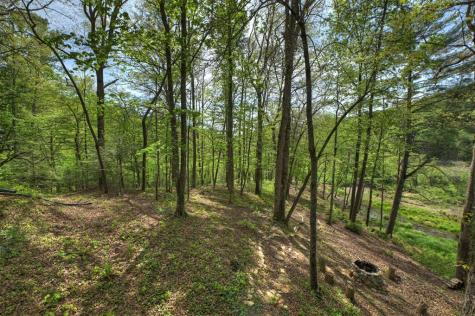 4081 Whitepath Road Cherry Log GA 30522