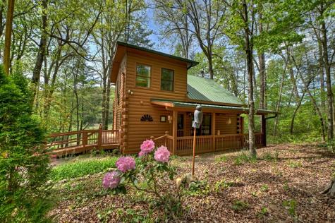 4081 Whitepath Road Cherry Log GA 30522