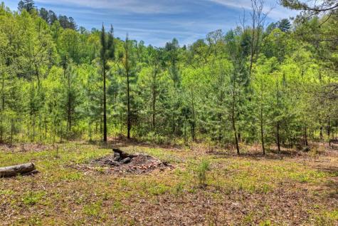 4081 Whitepath Road Cherry Log GA 30522